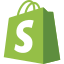 Shopify Partner